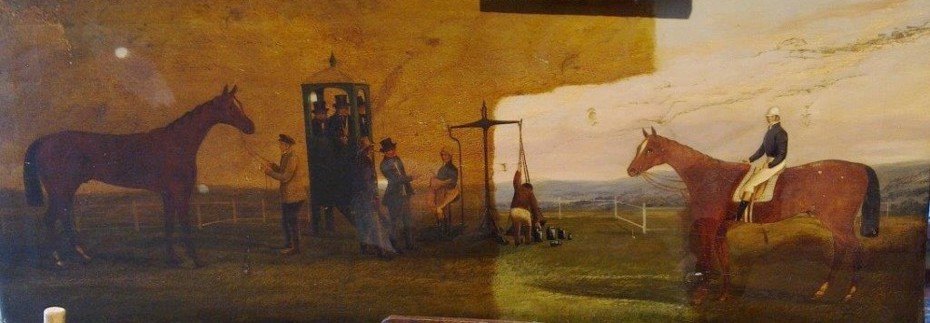 Julia de Nahlik Conservation