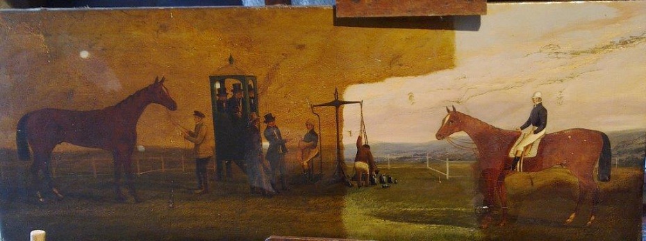Julia de Nahlik Conservation